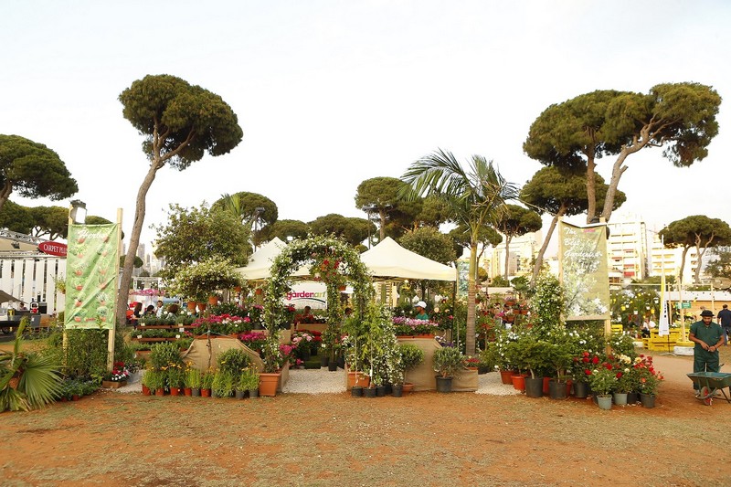 The Garden Show & Spring Festival set to celebrate 15th anniversary